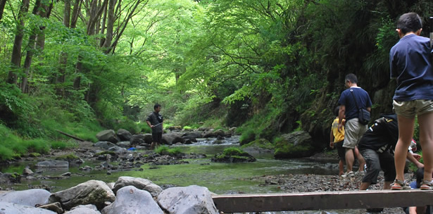 トップページ 夕やけ小やけふれあいの里