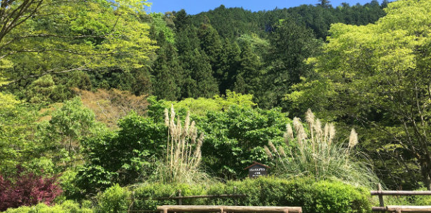 芝生広場