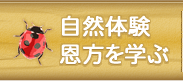 自然体験・恩方を学ぶ